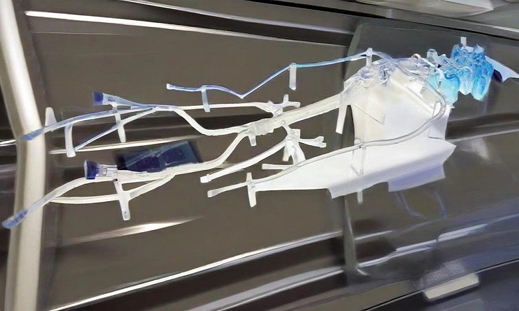 微信圖片_20251011171600_1059_15 微信圖片_20251011171600_1059_15